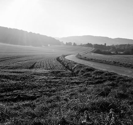 field-1246620 960 720 bw