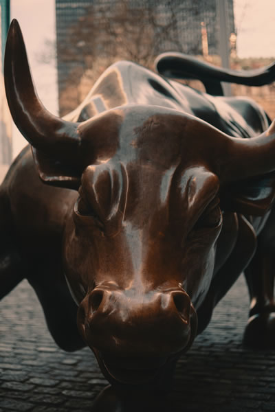 bull wall street