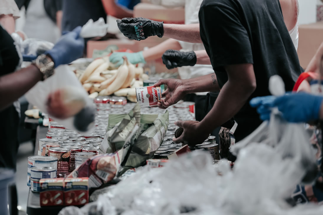 Feeding-Bristol-1095