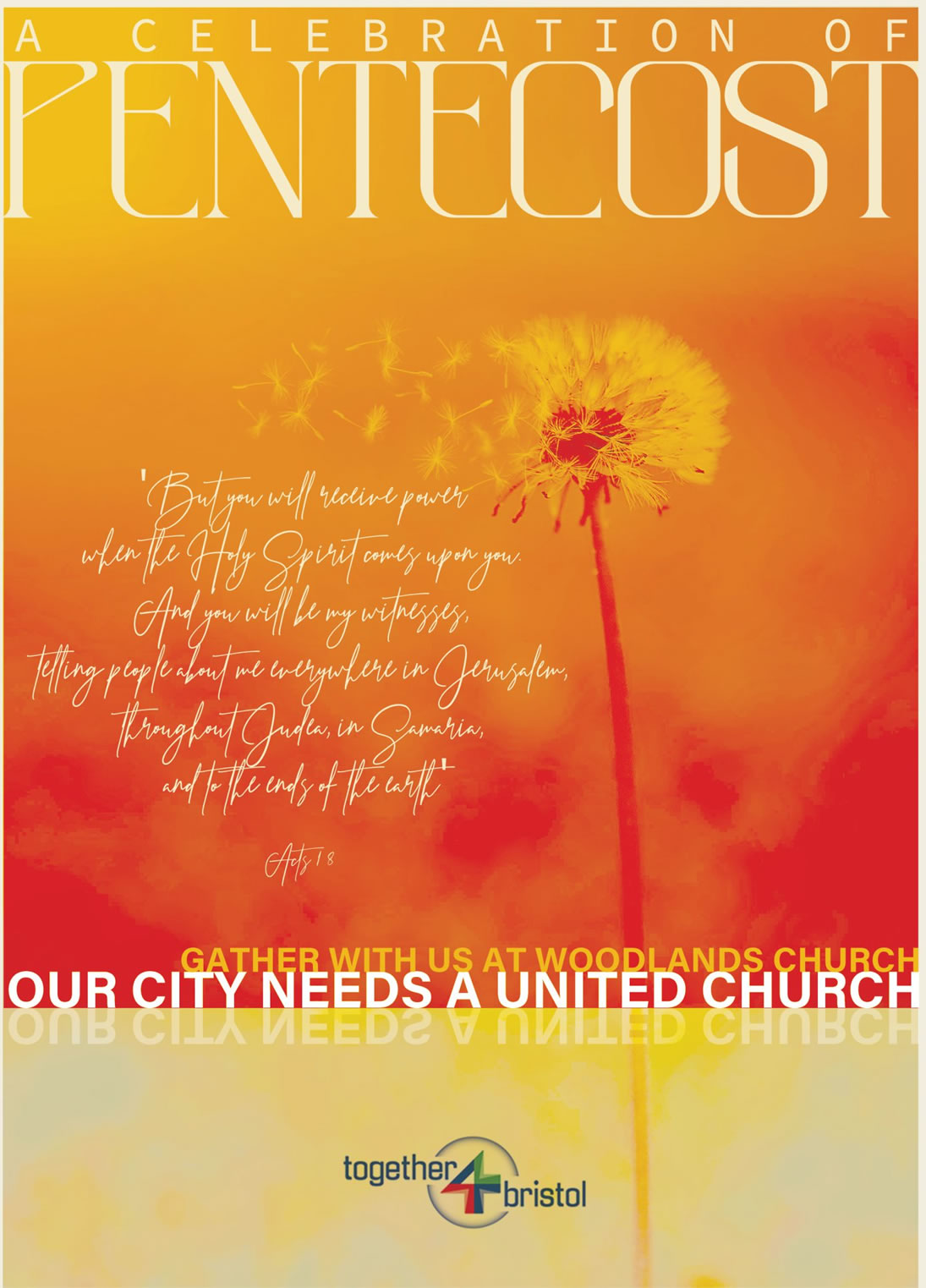 PENTECOST 24 (full information