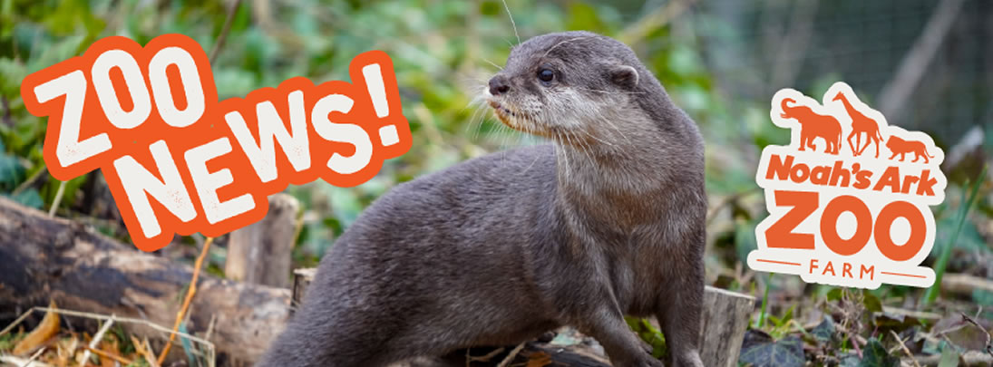 b6aa2a14-5a2a-0131-e8a2-dac5c3