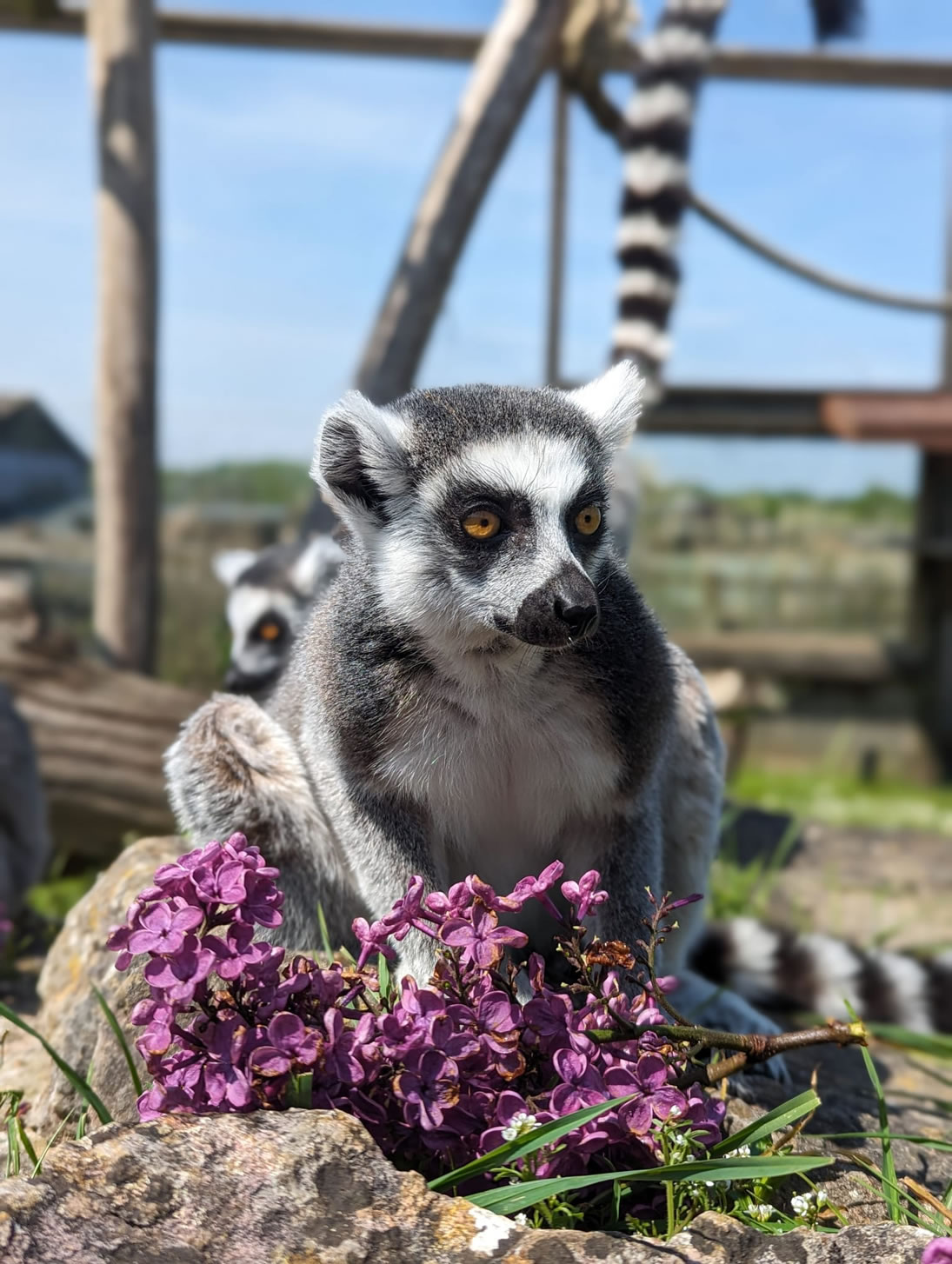 ad186875-56ee-f9c6-68be-99136e