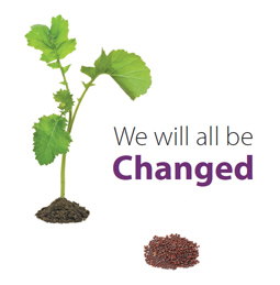 we will all be changed