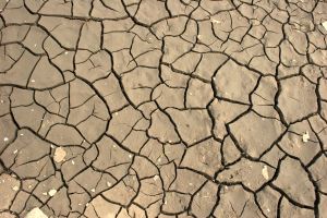 Climate change1