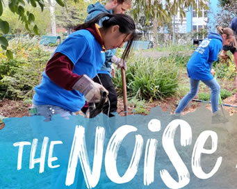Update: The Noise 2022 - Volunteer registration is OPEN