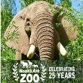 Hop Into Easter - Lot's New at the Zoo