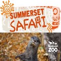 Tue 24 Jun-Fri 4 Jul - Exclusive After Hours Summer Event at the Zoo